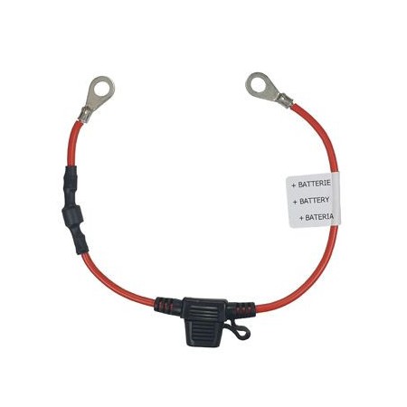 Câble Référence Tension Batterie - CÂBLE RÉFÉRENCE TENSION BATTERIE - UNITECK -  - 2303UNITECK